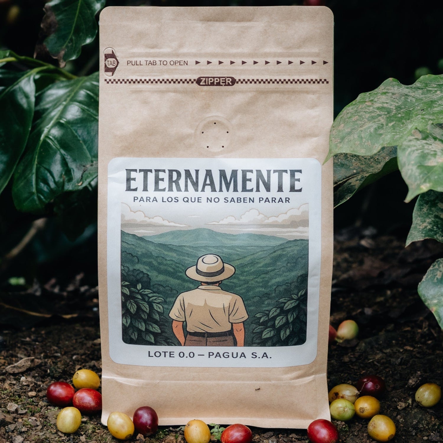 Coffee bag labeled 'Eternamente' with a scenic design on a coffee plantation background