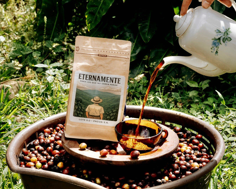 Person pouring coffee into a pot with 'Eternamente' coffee beans and packaging on a natural background.