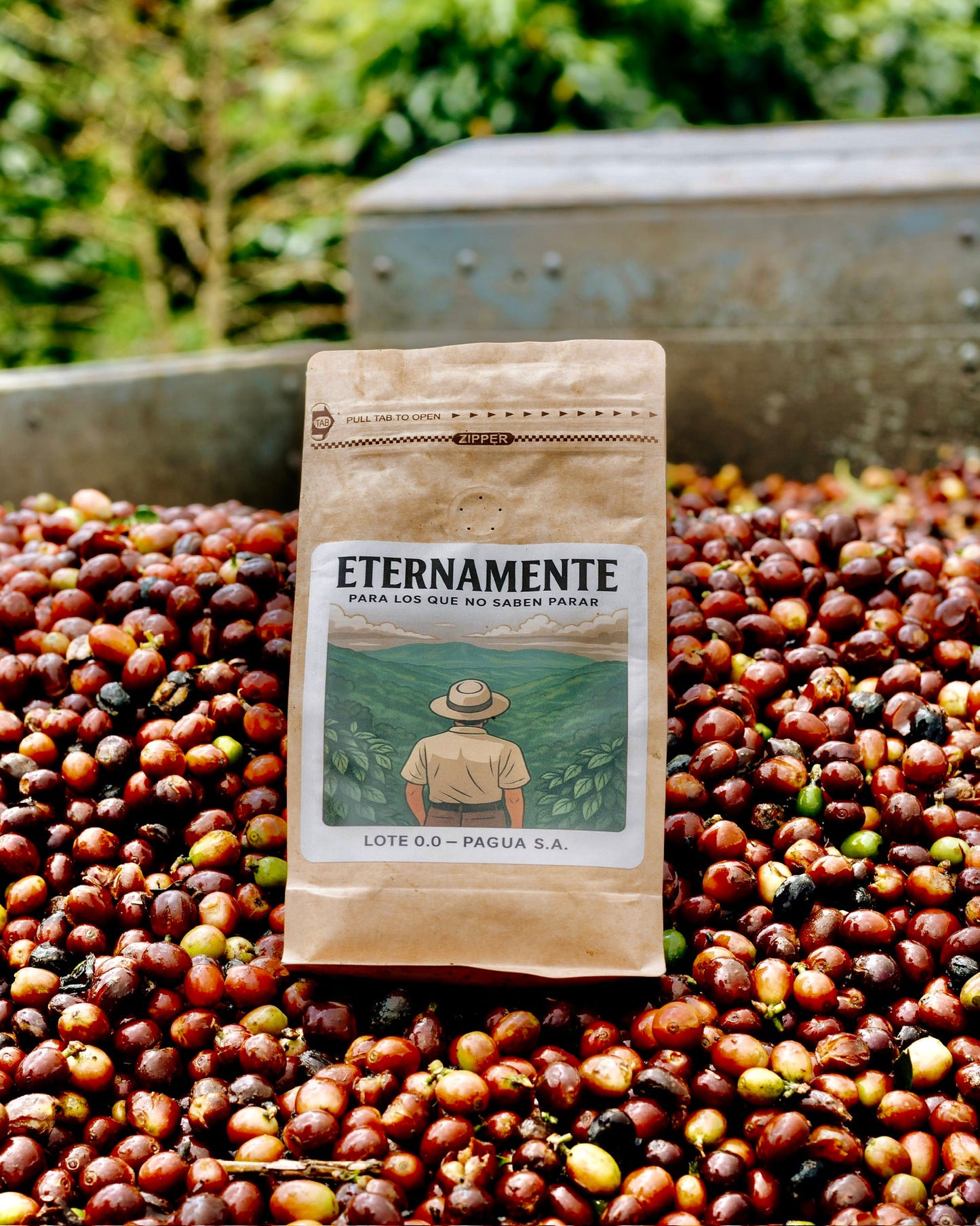 Eternamente Lot 0.0 - 340 grams