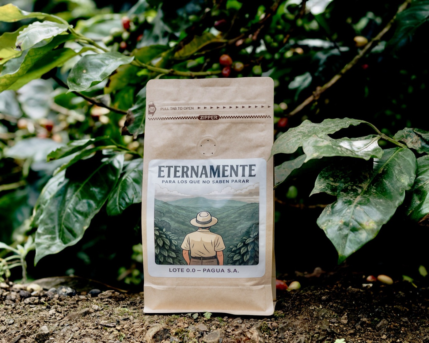 Bolsa de café Eternamente entre el follaje de los cafetales
