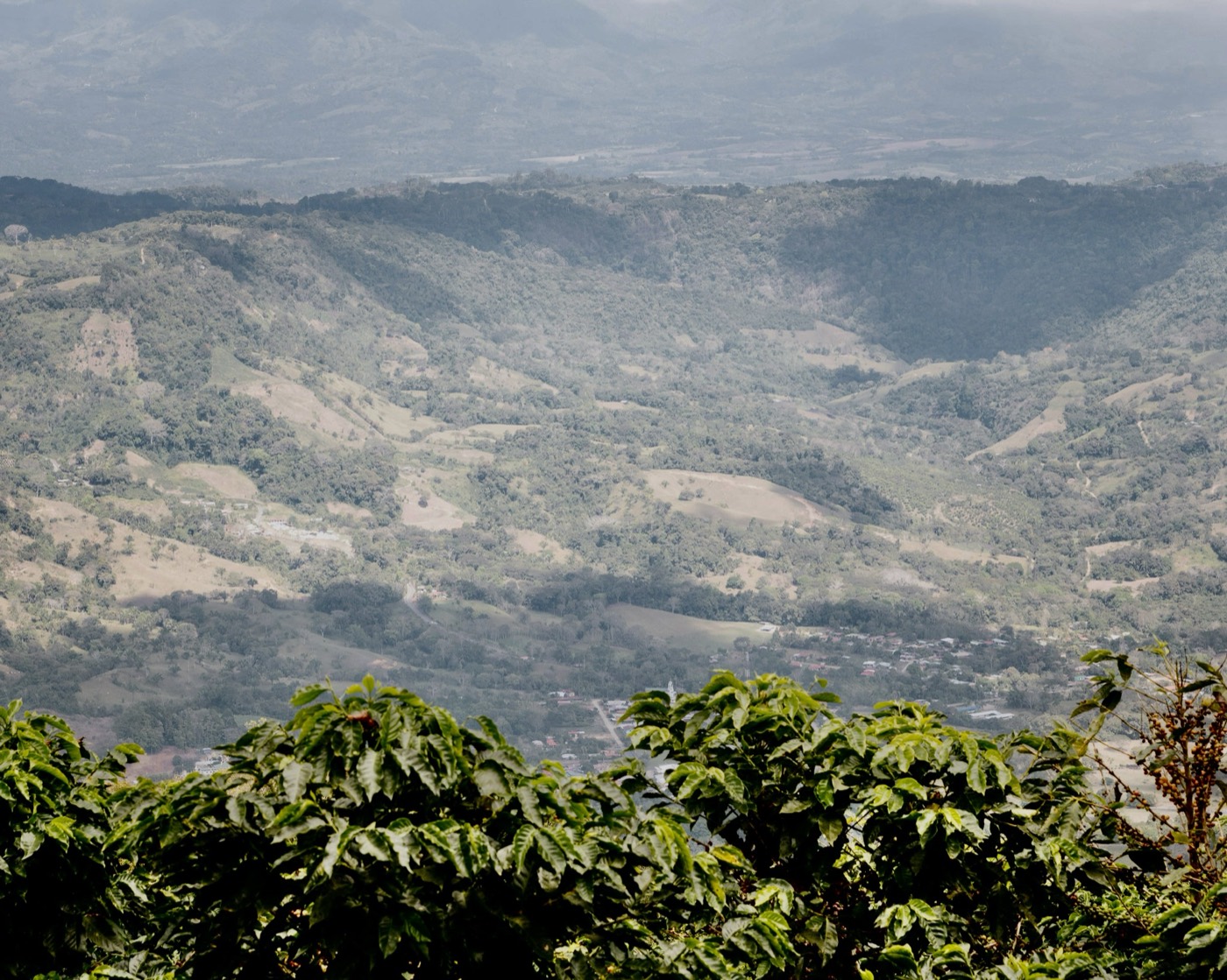Vista panorámica y brumosa del valle desde lo alto de la finca