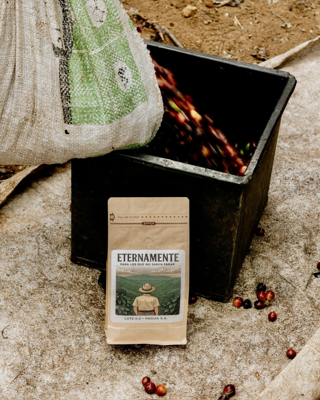 Manos seleccionando café recién cosechado junto a la bolsa Eternamente